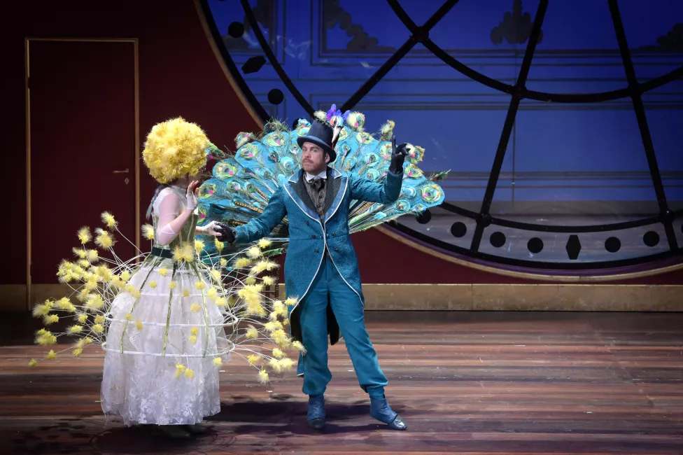 Le Domino Noir Vincent © Pontet