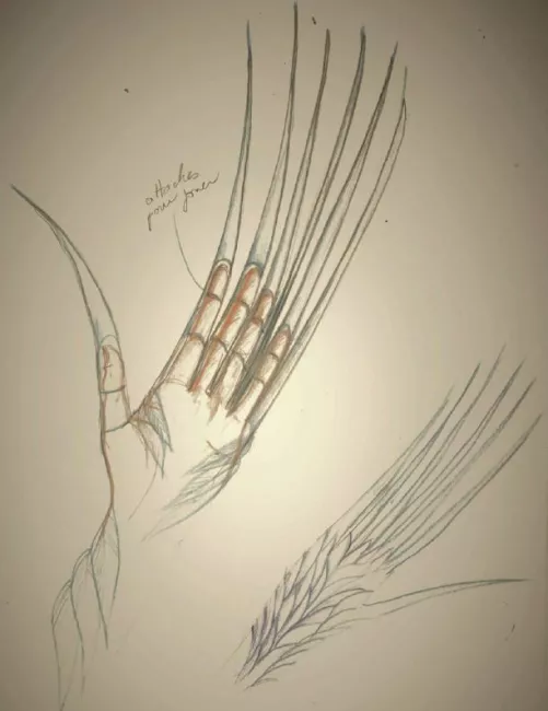 illustration