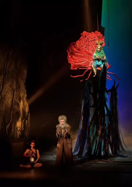 Coronis © Stefan Brion