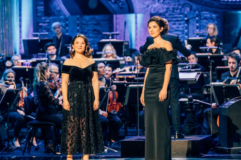 Fauteuils d'orchestre