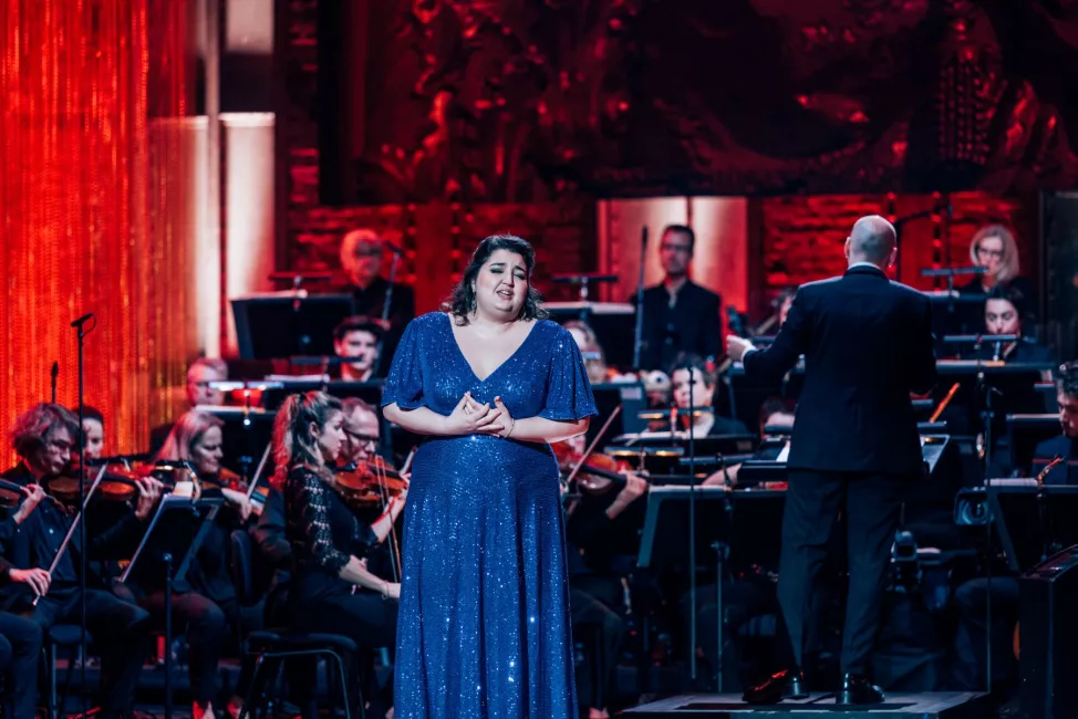 Fauteuils d'orchestre