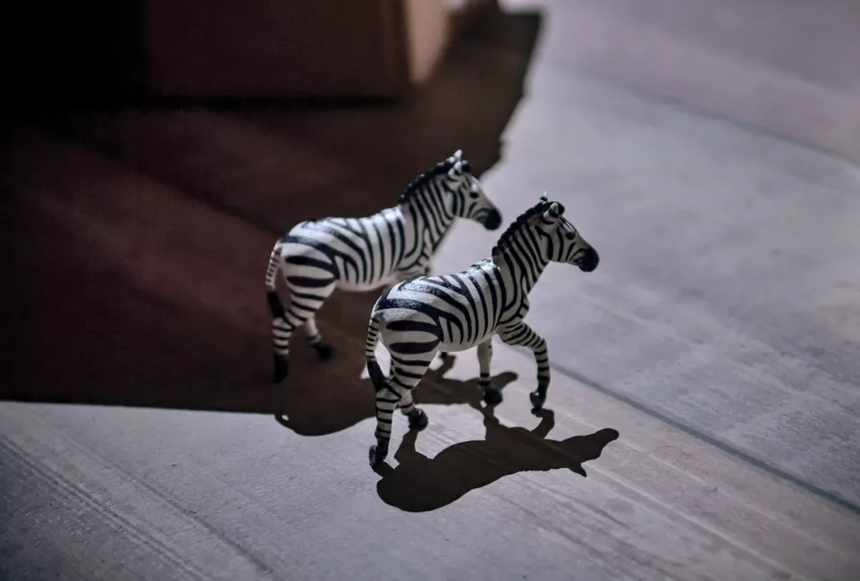 Les répétitions des Sentinelles