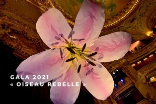 Retour sur la Soirée de Gala « Oiseau rebelle » du 18 novembre 2021