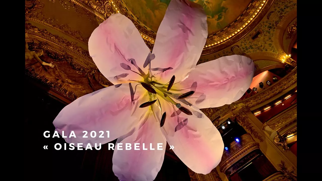 News form the « Oiseau rebelle »  Evening Gala, 18th November 2021