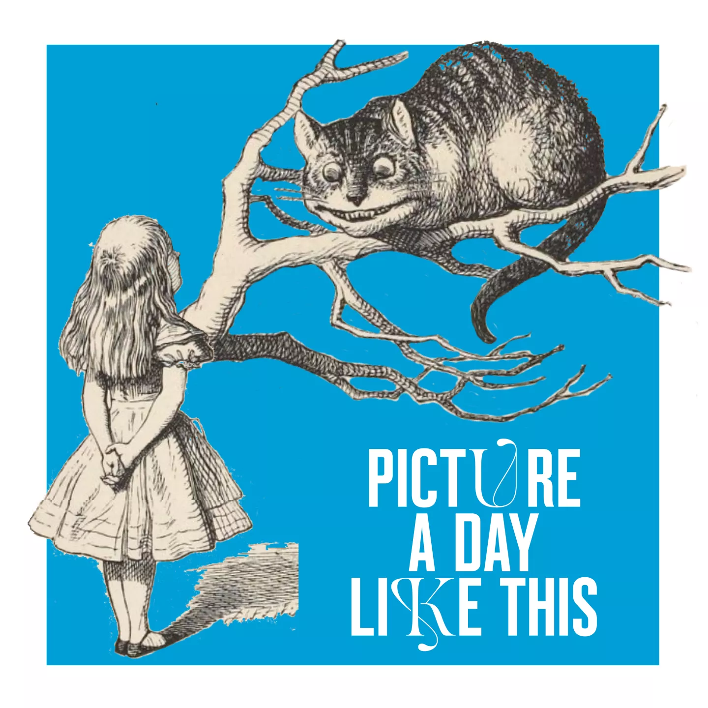 Un « Alice au pays des merveilles pour adultes » | Picture a day like this