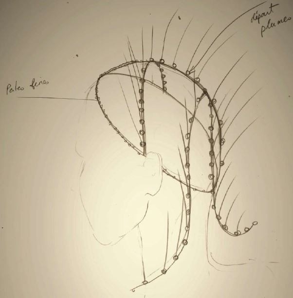 Croquis de Donnerstag aus Licht